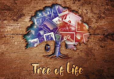 Celebrity Cruises, Tree of Life, Copyrights - CEL.jpeg